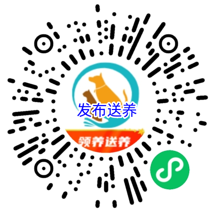 送养小程序码