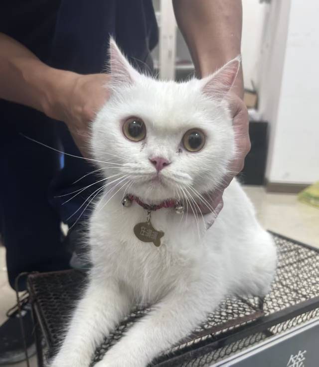 任满满