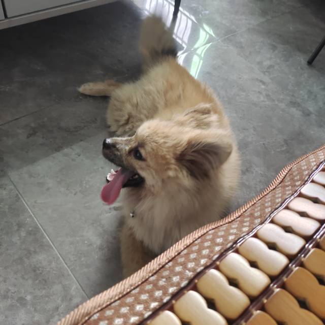 果冻