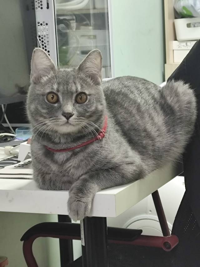 未知