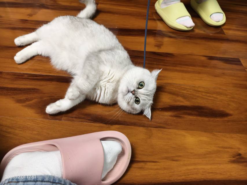 果冻