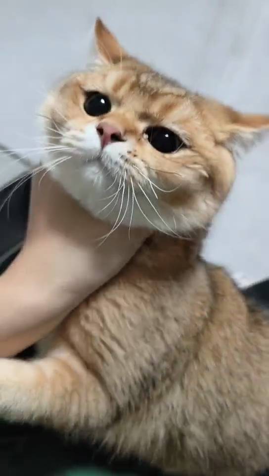 小a
