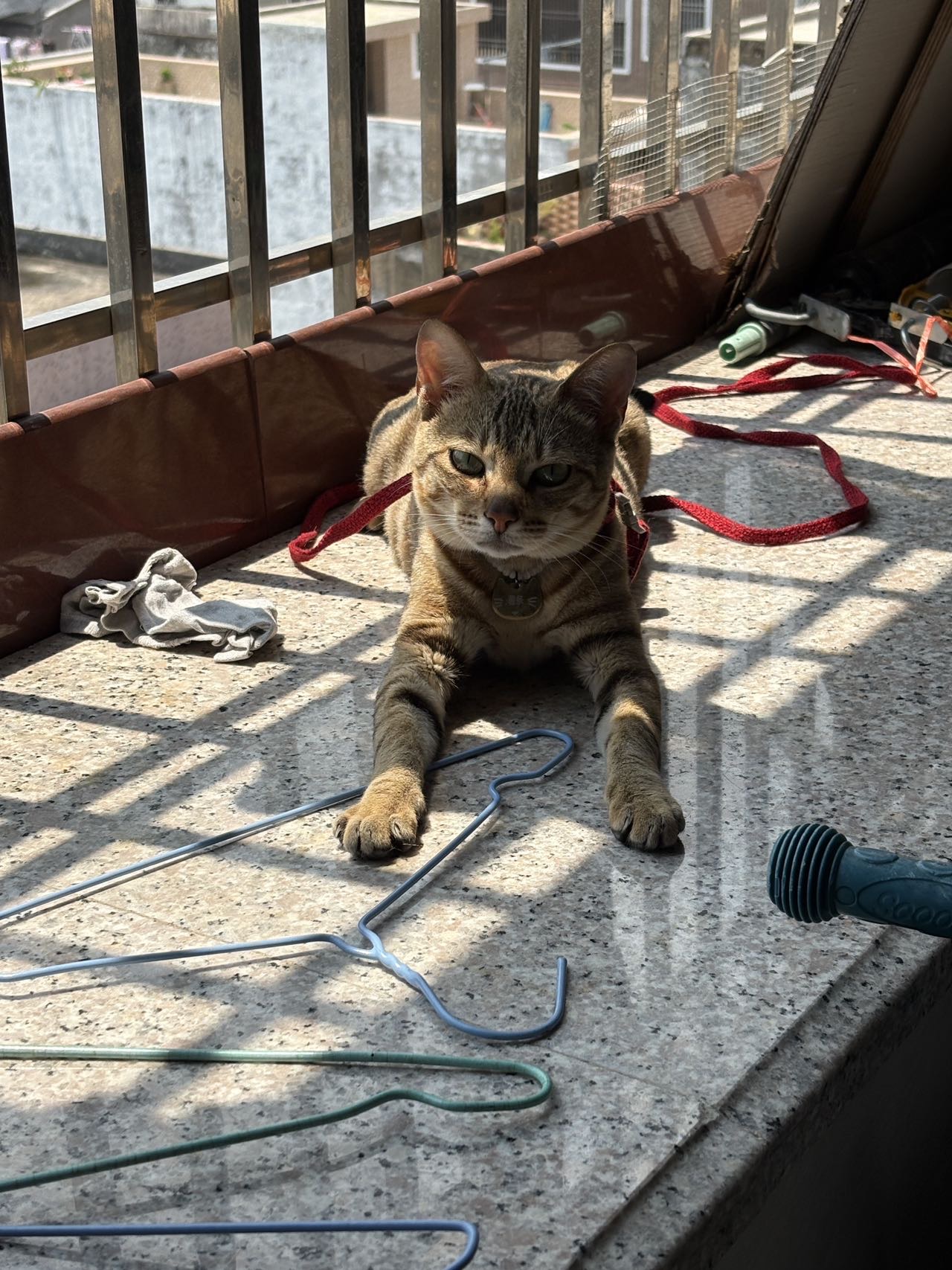 薯条