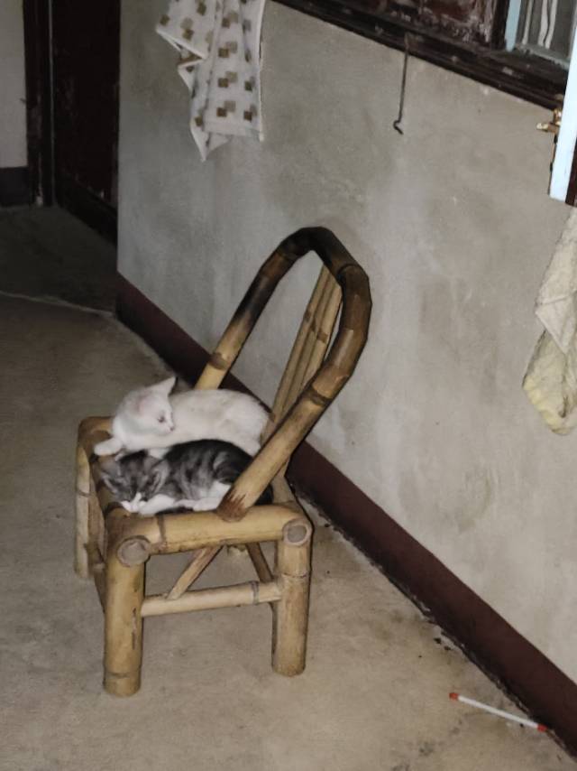 母